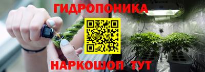 кокс Берёзовский