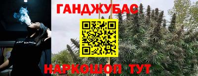 PSILOCYBIN Бийск