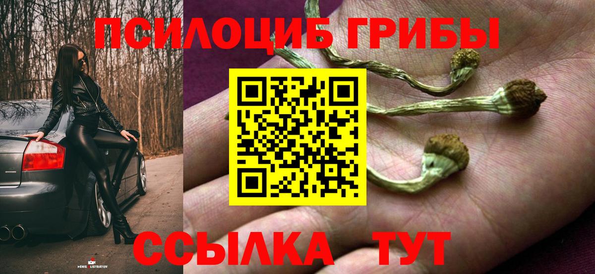 Когалым  Псилоцибиновые грибы прущие грибы  Вход с VPN 